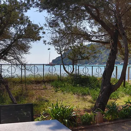 & Moby Dick Porto-Vecchio (Corsica)