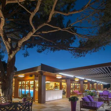 & Moby Dick Porto-Vecchio (Corsica)