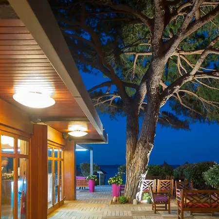 Hotel & Moby Dick 4*