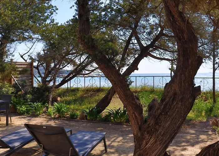 Hotel & Moby Dick 4*