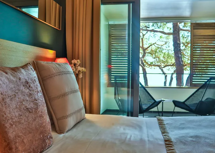 & Moby Dick Porto-Vecchio (Corsica)